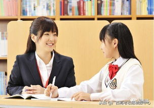 教育咨詢師 招生顧問 招生簡章